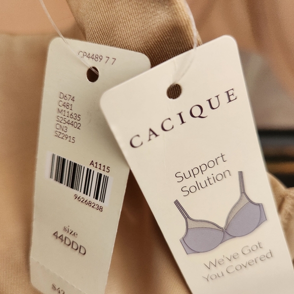 Cacique Illusion Full Coverage Support Solution Sheer Micro-mesh 44DDD - Picture 6 of 11